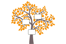 Logo de Benoit CONNAN Logo de Benoit CONNAN