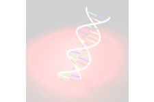 Logo de Catherine NOGIER Logo de Catherine NOGIER