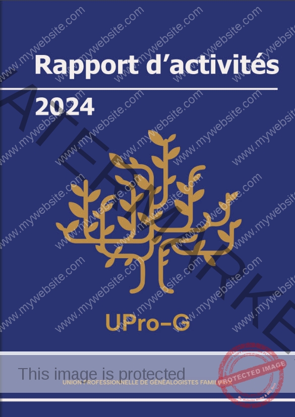 Rapport d'activités 2024